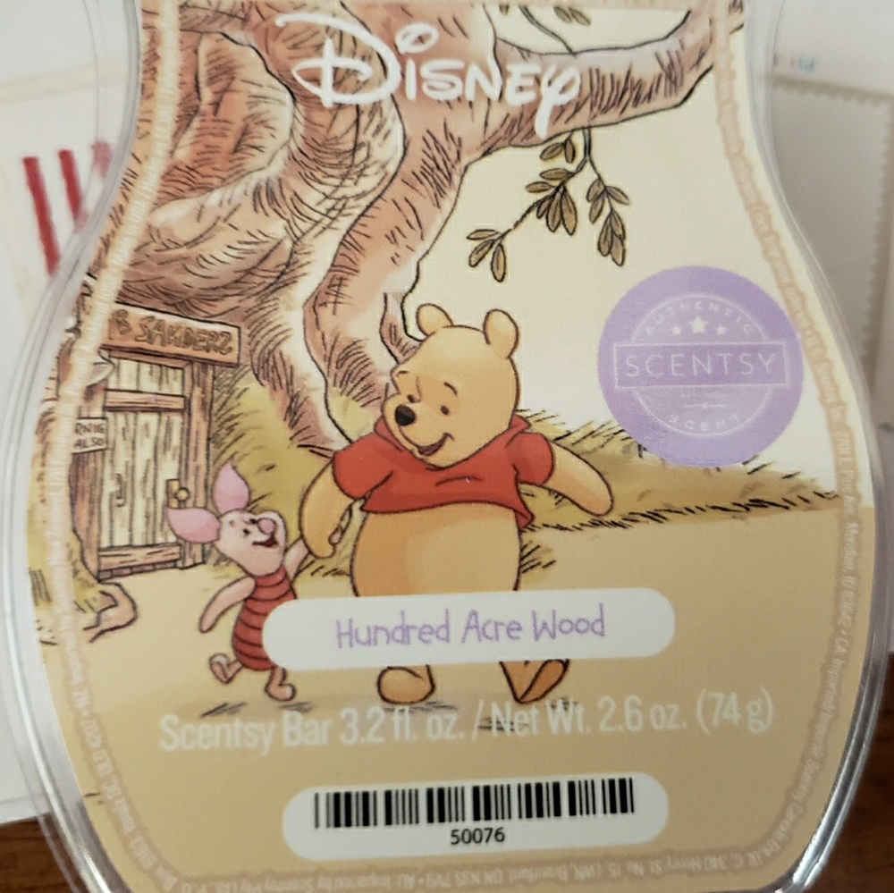 Disney Scentsy wax bar